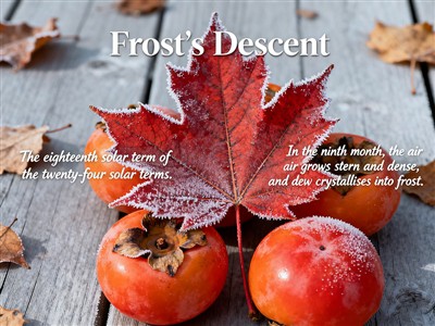 Šalčio nusileidimo saulės terminas ateina šiandien: baigiasi ruduo, prasideda...